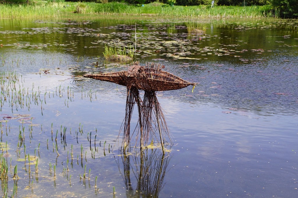 Sztuka land artu w Łodzi - Zdjęcie główne