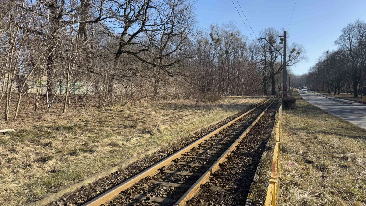 Wstrzymanie ruchu tramwajowego na ważnej ulicy w Łodzi. Obowiązuje komunikacja zastępcza. Jak kursuje? - Zdjęcie główne