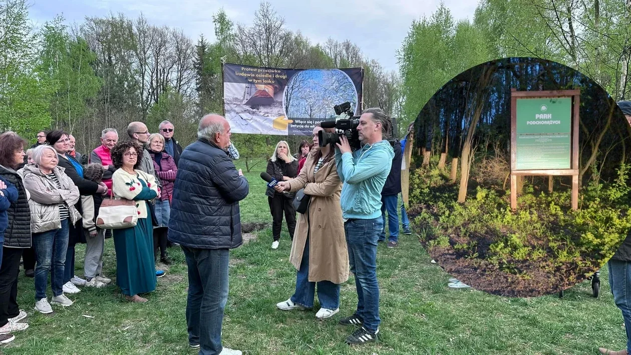 Mieszkańcy wygrali walkę o park na Złotnie? Miasto da deweloperowi inną działkę - Zdjęcie główne