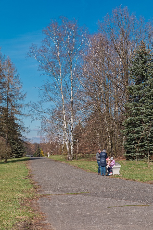 Ogród Botaniczny w Łodzi znowu otwarty  (fot. Michał Pietrzak - TuLodz.pl) |wiadomości łódzkie|łódź|TuŁódź