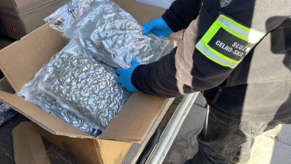 Furia ma nosa! Pies funkcjonariuszy KAS wywąchał 13 kilogramów narkotyków [FOTO]