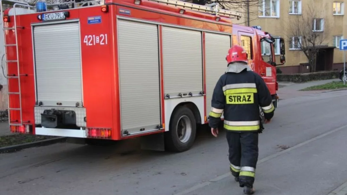 Łódź: pożar stolarni – zniszczony sprzęt i samochody - Zdjęcie główne