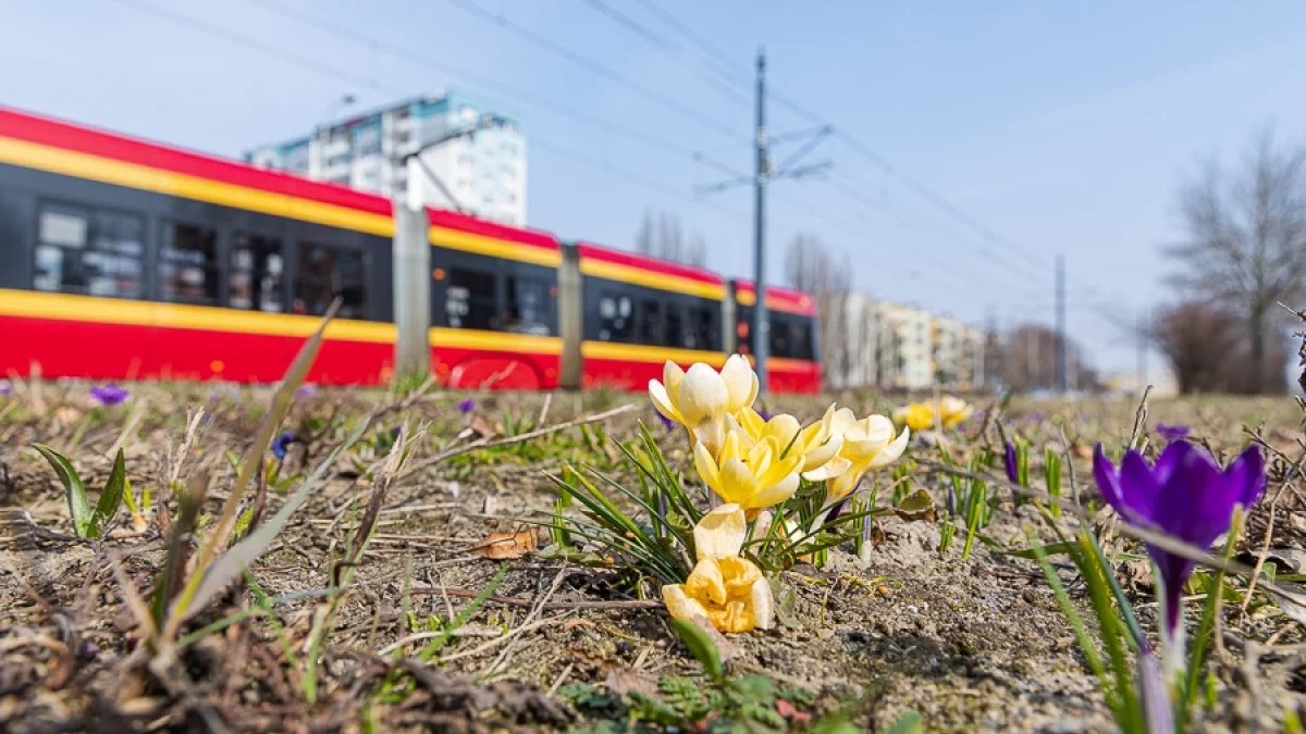 Nadciąga zmiana pogody. Deszcze i przymrozki w Łódzkiem - Zdjęcie główne