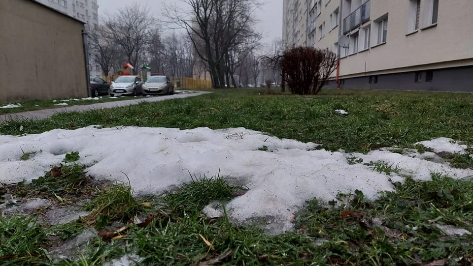 Jak łodzianie wywiązują się z obowiązku sprzątania po swoim psie? Do ideału nam daleko