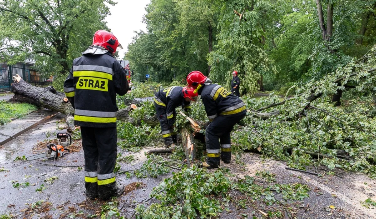 Burze obejmą całe woj. łódzkie? Ostrzeżenia Łowców burz i alarmy IMGW. Możliwy grad - Zdjęcie główne