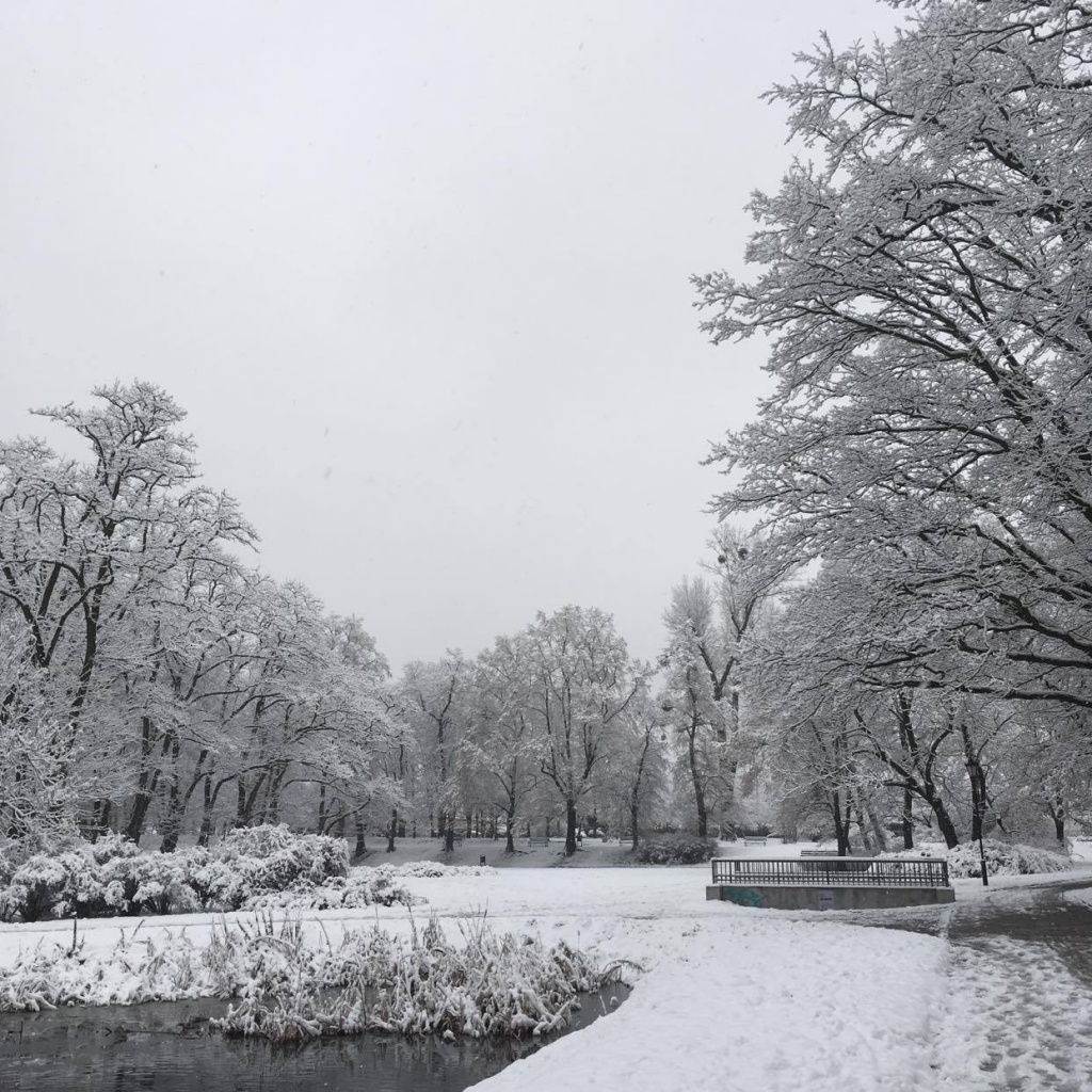 Kontynuujemy cykl TuŁódź - Szalone miasto. Tym razem opowiadamy o Parku Helenów. (fot. Patrycja Chuszcz) |wiadomości łódzkie|Łódź|TuŁódź