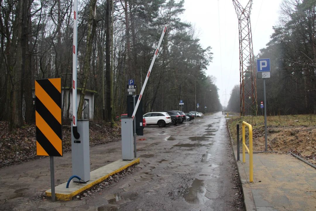 Parking leśny w Arturówku będzie płatny siedem dni w tygodniu, przez całą dobę. Od kiedy? [ZDJĘCIA] - Zdjęcie główne