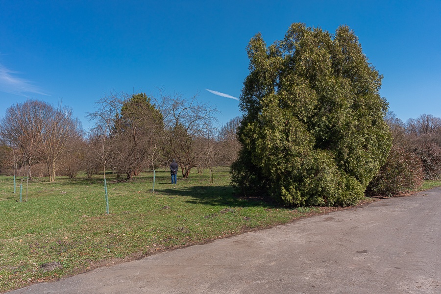 Ogród Botaniczny w Łodzi znowu otwarty  (fot. Michał Pietrzak - TuLodz.pl) |wiadomości łódzkie|łódź|TuŁódź