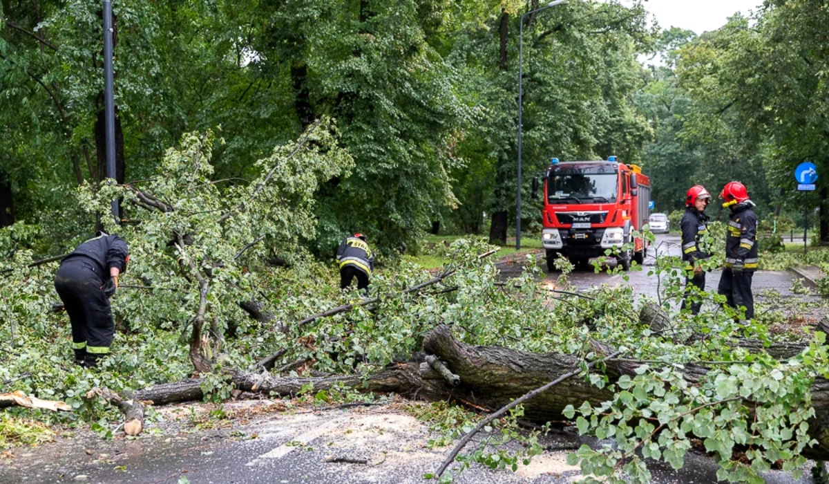 Zeszłoroczne letnie burze dały się we znaki mieszkańcom regionu łódzkiego