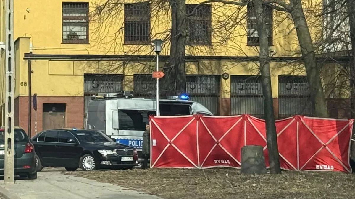 Tragiczne wypadki pod szkołami. Radna: Strefy piesze powinny być odseparowane od stref pojazdów