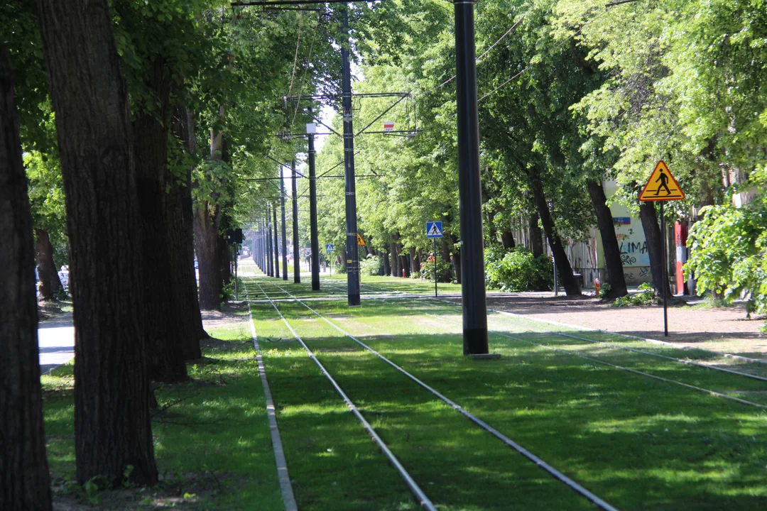 Łódź zaprasza na społeczny odbiór ważnej ulicy na Bałutach. Sprawdź, gdzie i kiedy - Zdjęcie główne