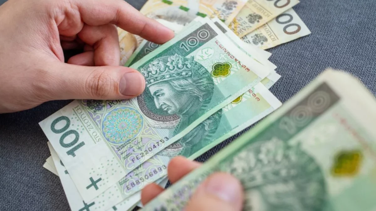 Państwo zapłaci 1200 zł miesięcznie bez względu na dochody? Jest projekt