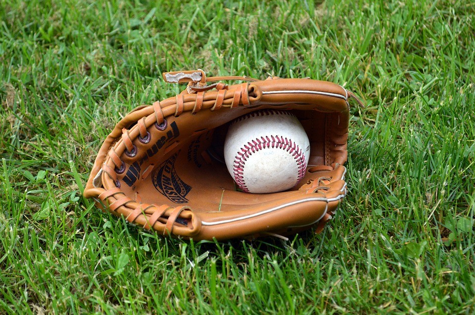 BASEBALL: Nowość w Łodzi! Powstaje baseballowa drużyna - Falcons Łódź - Zdjęcie główne