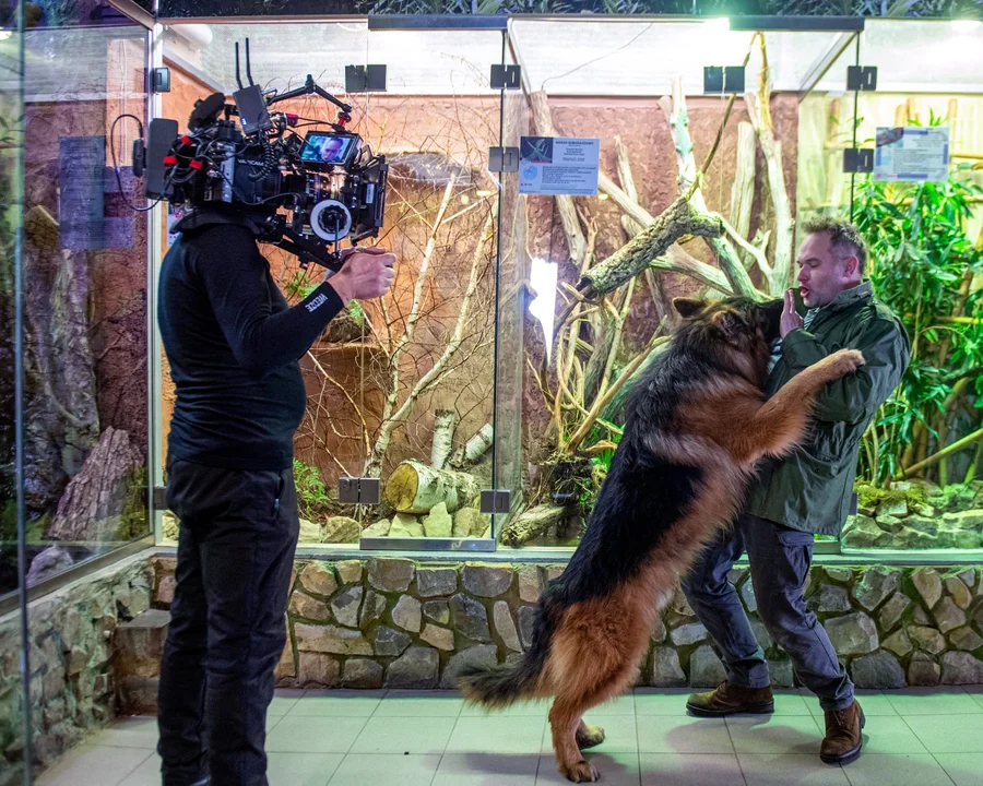 Nietypowy gość Orientarium! Komisarz Alex tropił przestępców w łódzkim Zoo [zdjęcia] - Zdjęcie główne