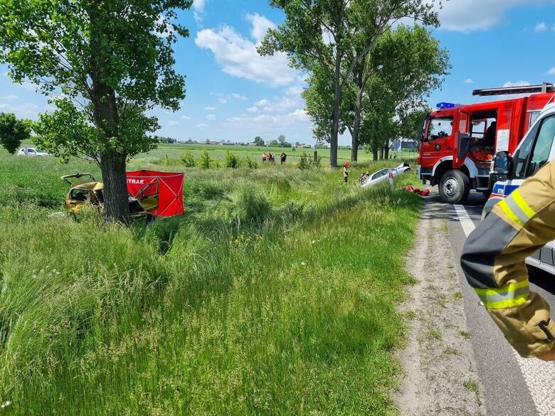 Wypadek Łódzkie. Śmiertelny wypadek pod Łowiczem. Nie żyją dwie starsze osoby (fot. PSP Łowicz)