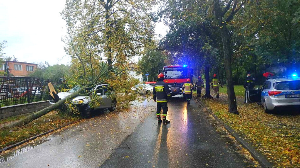 Pijany 42-latek jeździł po ulicach na Górnej w Łodzi. Swoją podróż zakończył na drzewie [ZDJĘCIA] - Zdjęcie główne