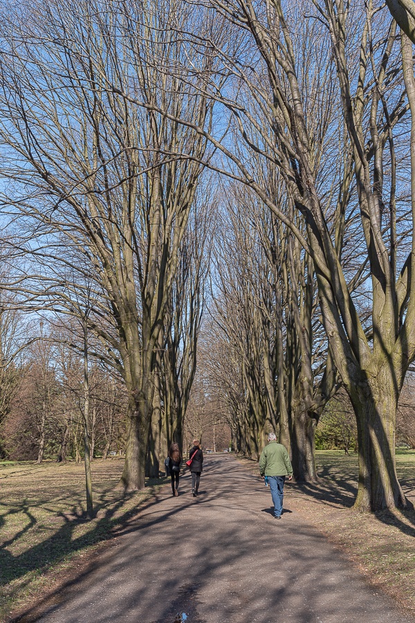 Ogród Botaniczny w Łodzi znowu otwarty  (fot. Michał Pietrzak - TuLodz.pl) |wiadomości łódzkie|łódź|TuŁódź