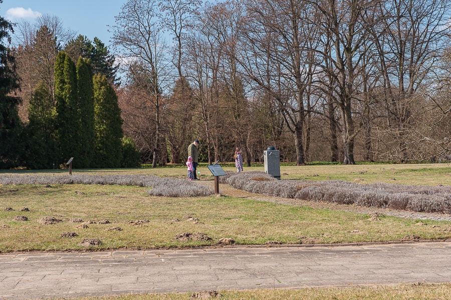 Ogród Botaniczny w Łodzi znowu otwarty  (fot. Michał Pietrzak - TuLodz.pl) |wiadomości łódzkie|łódź|TuŁódź