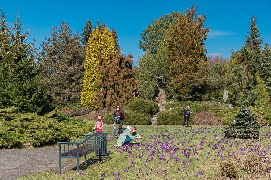 Ogród botaniczny w Łodzi (fot. Michał Pietrzak - redakcja TuŁódź) |wiadomości łódzkie | Łódź | TuŁódź