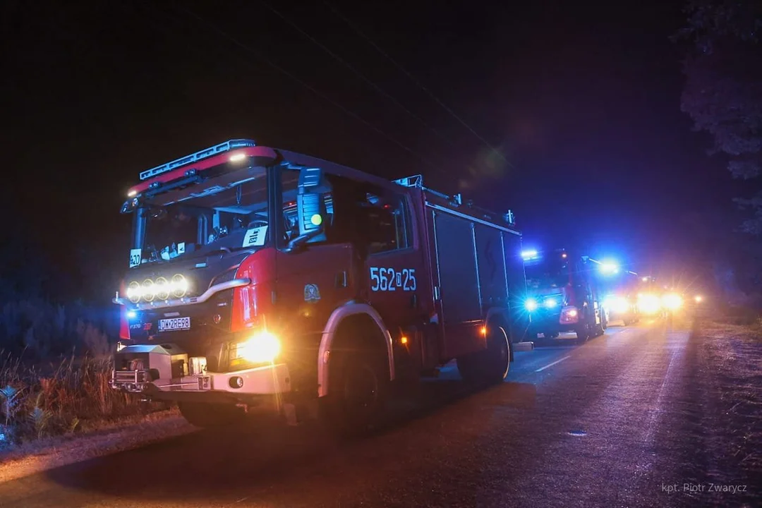 Śmiertelny wypadek w Pabianicach. Policja wyjaśnia okoliczności - Zdjęcie główne