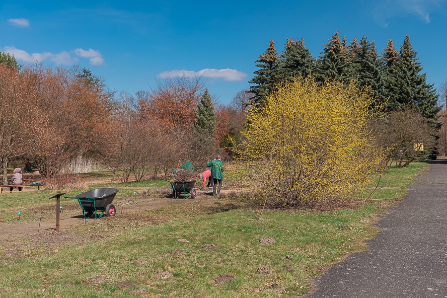 Ogród Botaniczny w Łodzi znowu otwarty  (fot. Michał Pietrzak - TuLodz.pl) |wiadomości łódzkie|łódź|TuŁódź