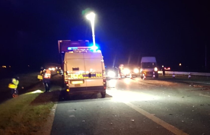 Tragiczny wypadek na A1. Na autostradę wybiegł łoś. Samochodem jechały cztery osoby, jeden z pasażerów nie przeżył - Zdjęcie główne