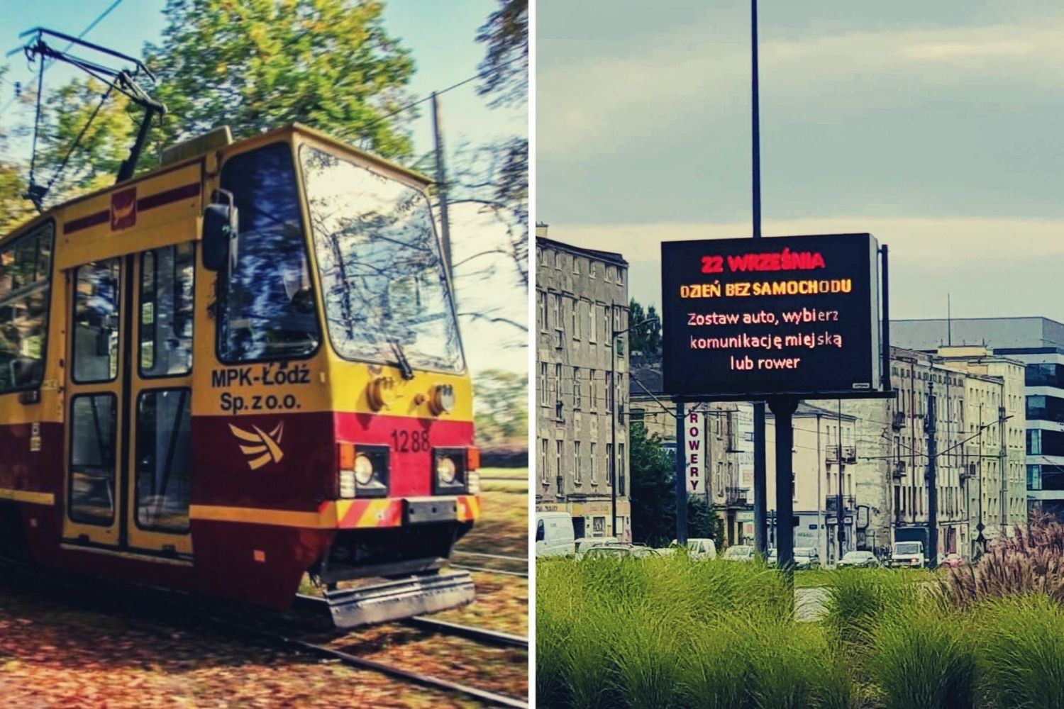 „Dzień bez samochodu”, czyli święto obecnie pozbawione sensu [komentarz] - Zdjęcie główne