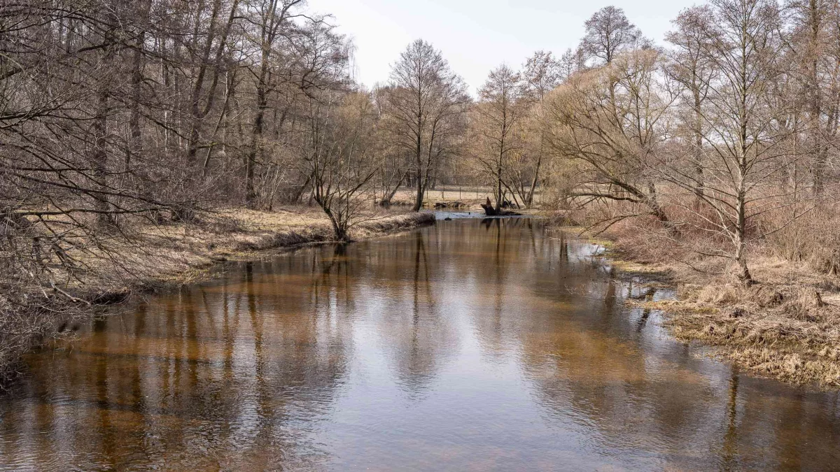 Takich atrakcji w Łódzkiem do tej pory nie było