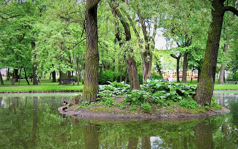 Stwórz własną pocztówkę z łódzkich parków - Zdjęcie główne