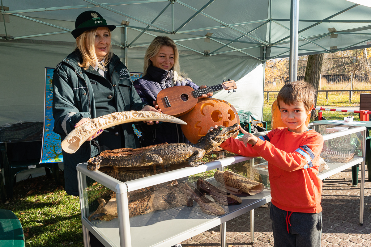 Halloweenowa zabawa w łódzkim ZOO trwała w najlepsze!