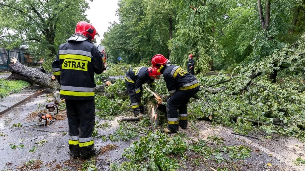 Nocne burze w woj. łódzkim. Ponad sto zgłoszeń. Woda wdarła się do szkoły