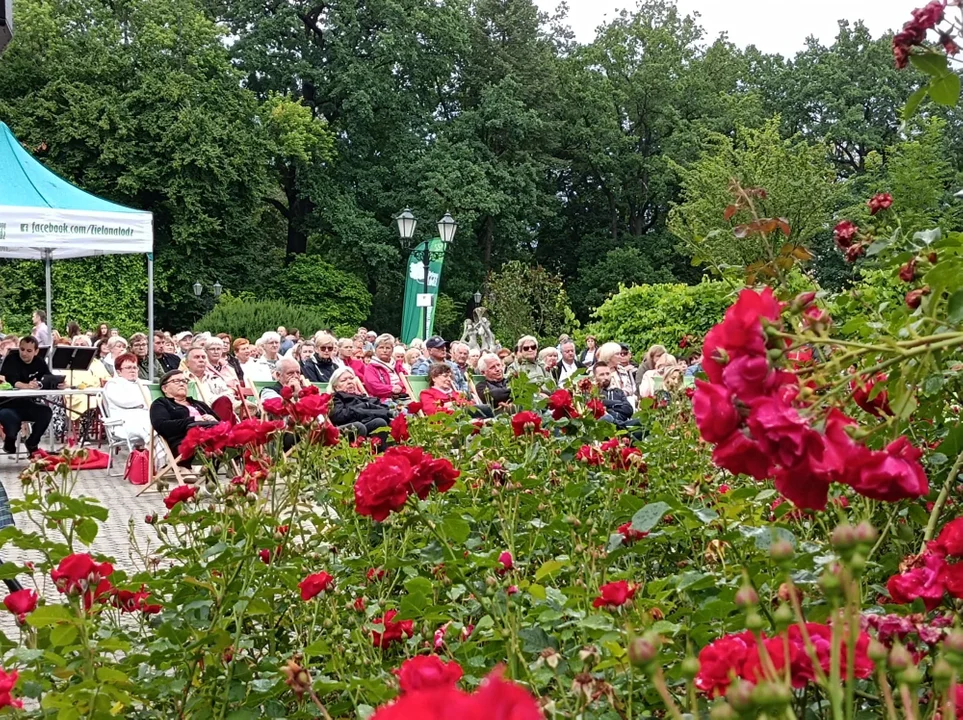 Niesamowity koncert w Altanie w Parku Źródliska [zdjęcia, wideo] - Zdjęcie główne