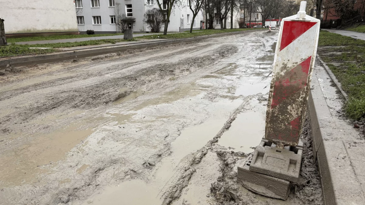 Mieszkańcy ulicy Boya-Żeleńskiego w Łodzi zmęczeni kolejnym remontem. Co słychać na placu budowy? [ZDJĘCIA] - Zdjęcie główne