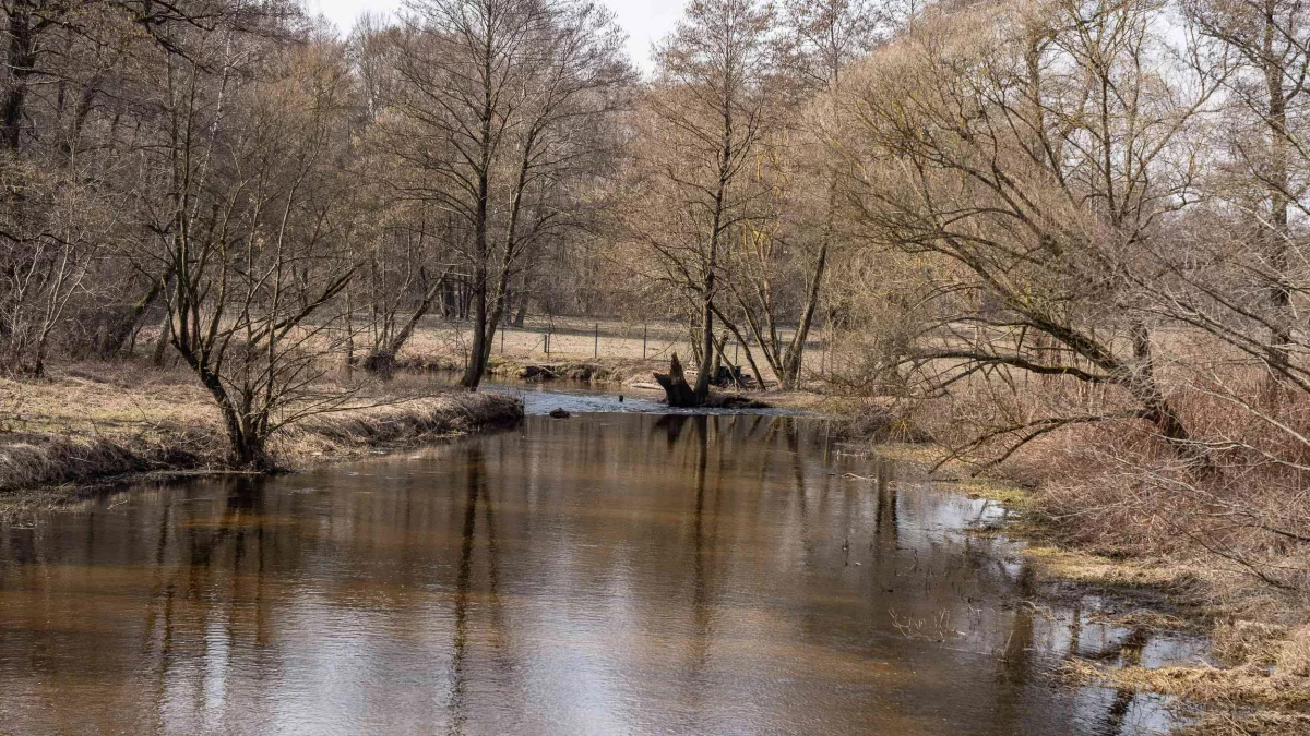 Tajemnicza dolina pod Łodzią. Powstaną tu atrakcje dla turystów [FOTO]