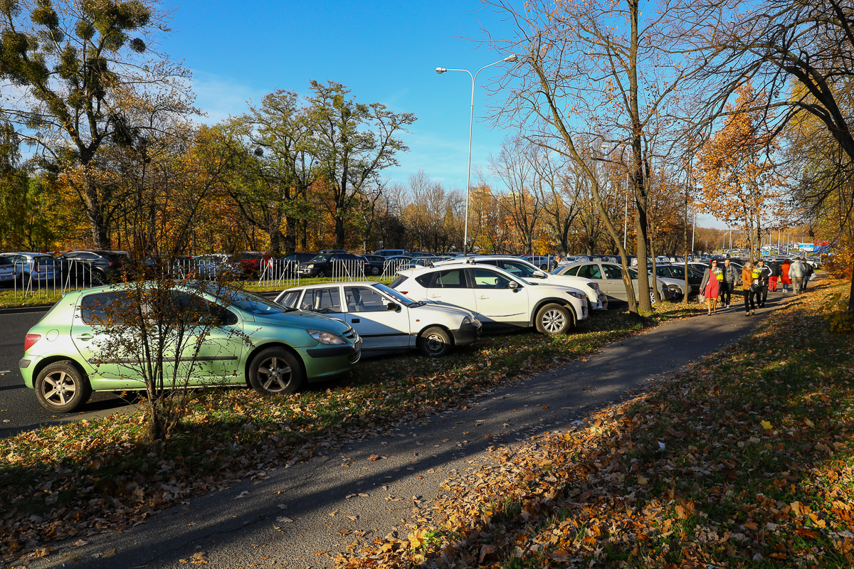 Funkcjonariusze drogówki prowadzą akcję "Znicz"