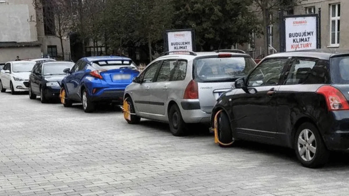 Łódzka straż miejska pojawiła się w centrum miasta. Posypały się mandaty i blokady na koła - Zdjęcie główne