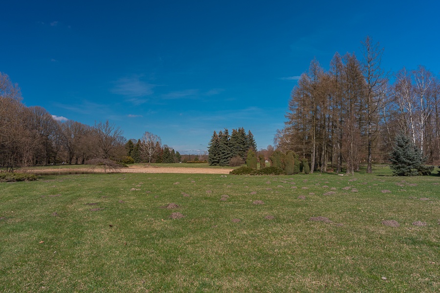 Ogród Botaniczny w Łodzi znowu otwarty  (fot. Michał Pietrzak - TuLodz.pl) |wiadomości łódzkie|łódź|TuŁódź
