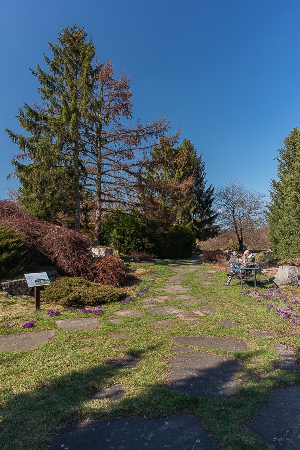 Ogród Botaniczny w Łodzi znowu otwarty  (fot. Michał Pietrzak - TuLodz.pl) |wiadomości łódzkie|łódź|TuŁódź
