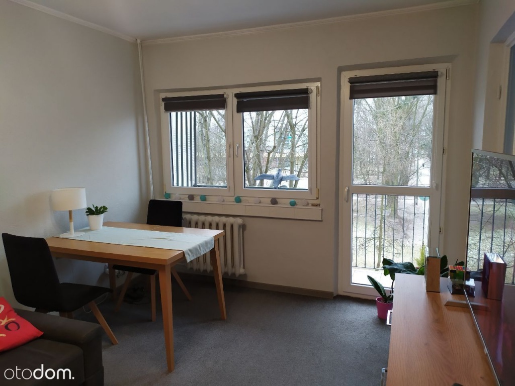 Mieszkanie w Łodzi. 37 mkw za 213 tys zł. ZOBACZ: hhttps://www.otodom.pl/pl/oferta/2-pokoje-bezposrednio-2p-ID4aA2K.html#b69e80a33d (fot. Otodom)
