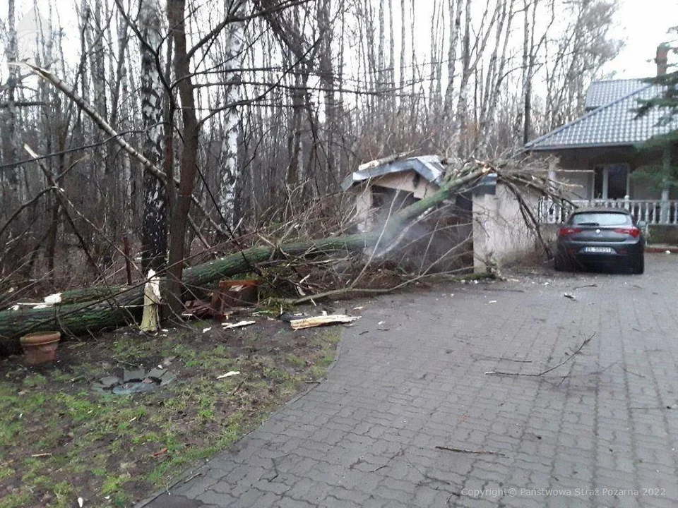 Pogoda w weekend 19-20 lutego w Łodzi. W sobotę znowu silny wiatr, aż do 100 kilometrów na godzinę! - Zdjęcie główne