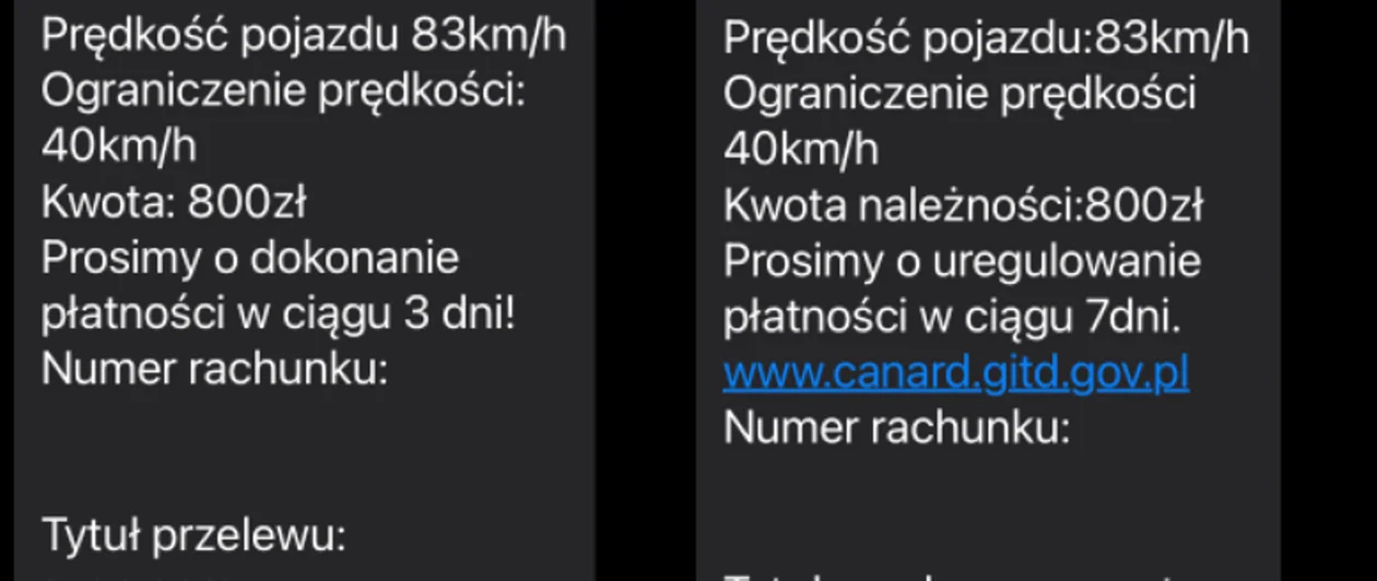 Łódź. Kierowcy dostają SMS-y z mandatem za przekroczenie prędkości - Zdjęcie główne