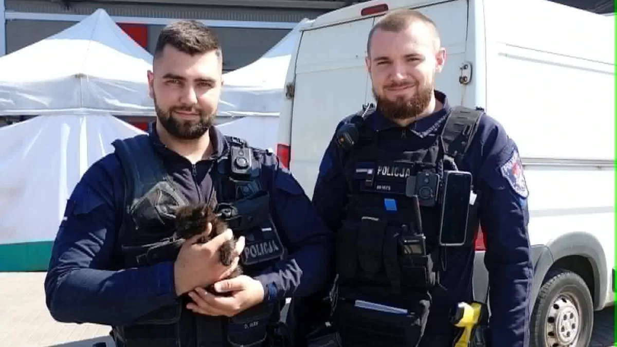 Akcja policji na Rynku Bałuckim. Wszystko przez... kota!