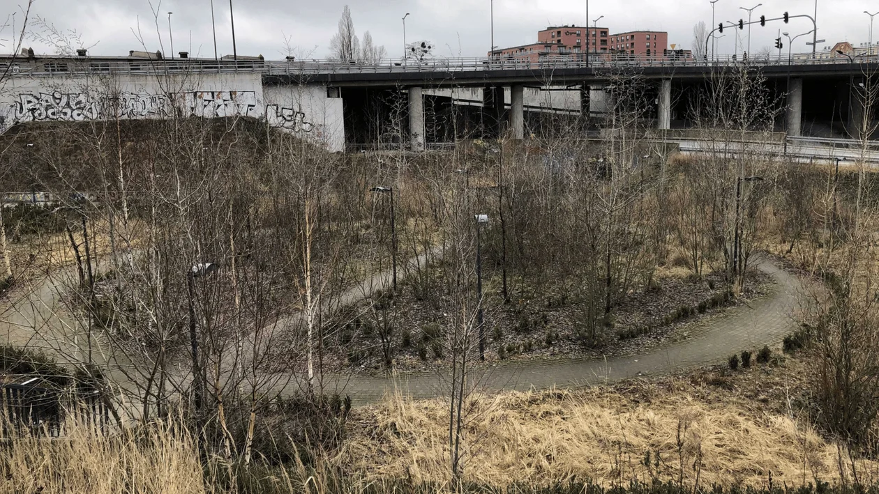 Tak wygląda Nowe Centrum Łodzi. Zarośnięte, brudne i zapomniane [ZDJĘCIA] - Zdjęcie główne