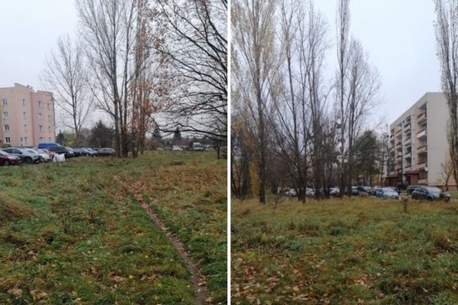 "Auta toną w błocie", a parkingu jak nie było, tak nie ma. Kiedy to się zmieni? - Zdjęcie główne