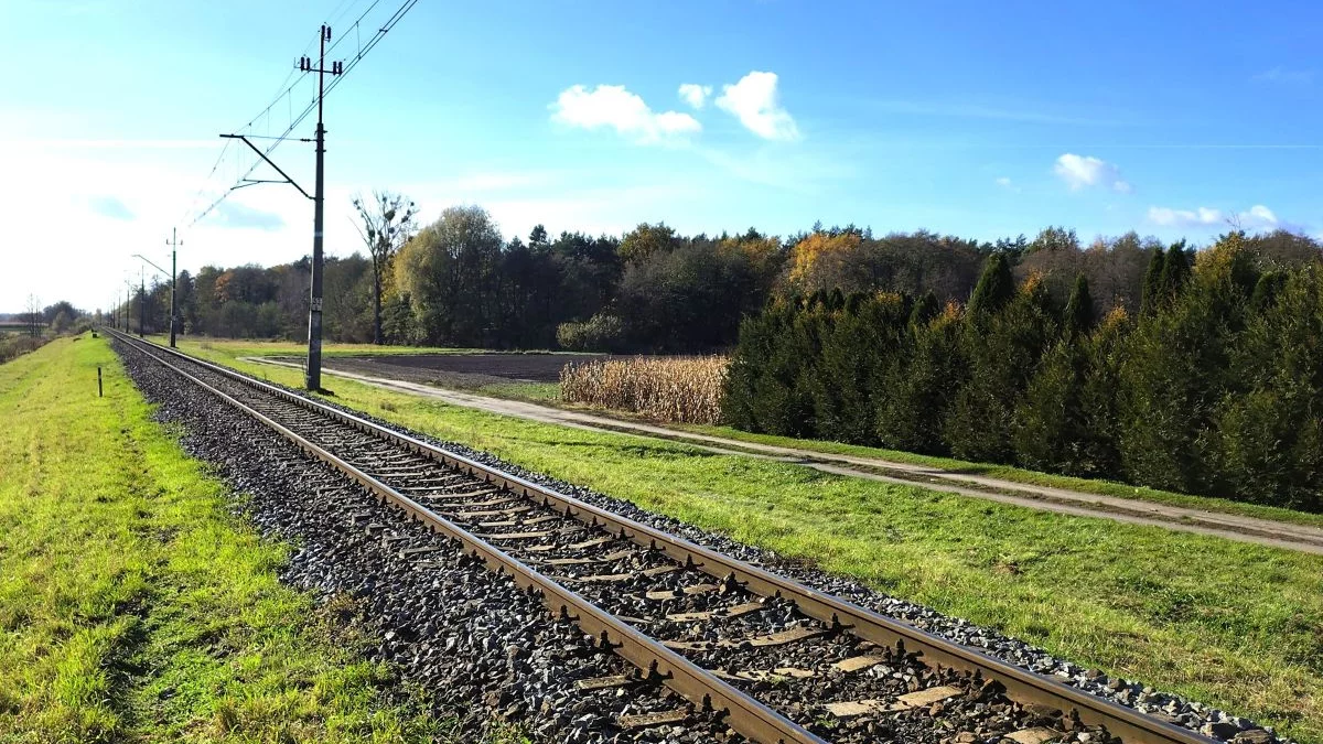 PKP przyspiesza pociągi w Łódzkiem. Modernizacja torów skróci codzienne podróże