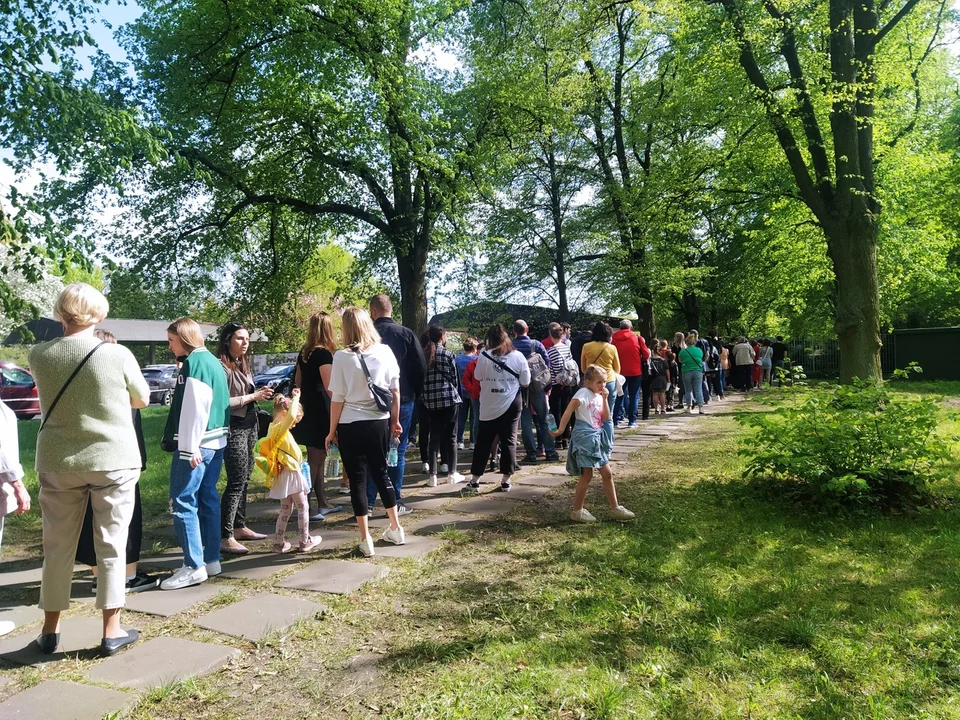 Wstęp do Ogrodu Botanicznego w Łodzi jest płatny. W praktyce płacą tylko uczciwi - Zdjęcie główne