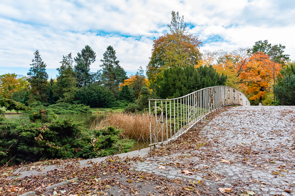 Park Poniatowskiego w Łodzi zachwycił nas jesienią. 