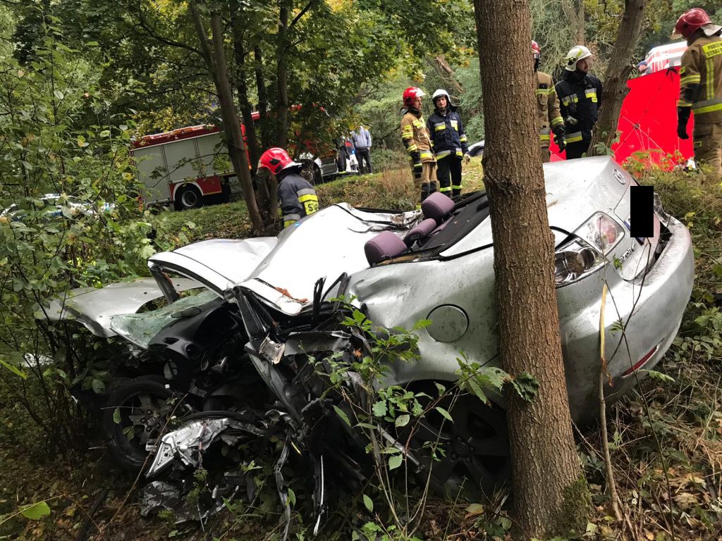 Pod Bełchatowem zginął 48-letni obcokrajowiec