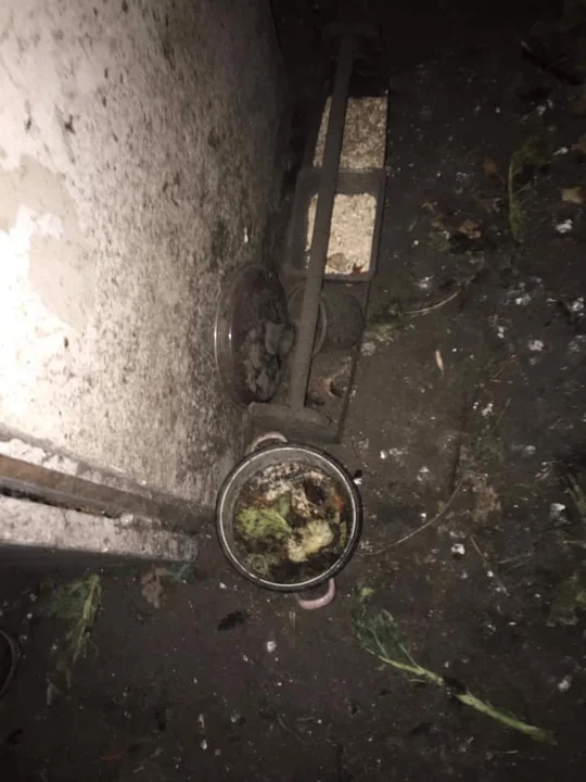 Interwencja na miejscu zdarzenia