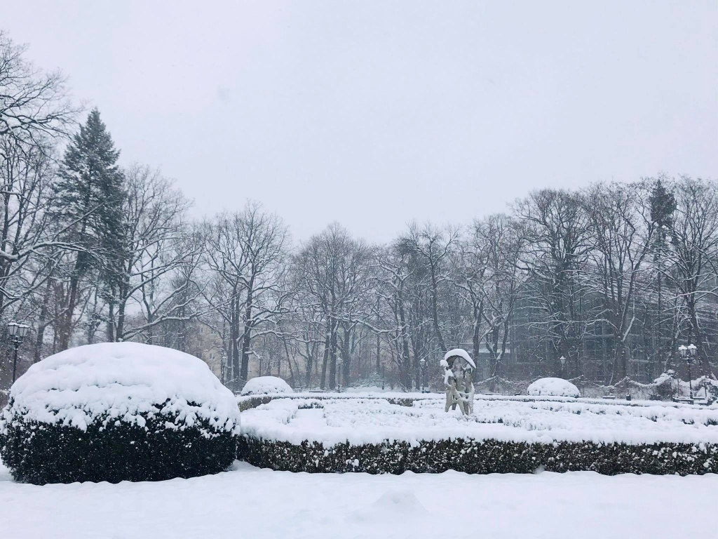 Łódzkie ośnieżone parki zachwycają spacerujących. Zima w mieście ma swoje uroki! (fot. Aga Szynk) |wiadomości łódzkie|Łódź|TuŁódź